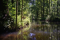 Spreewald_24_ji.jpg