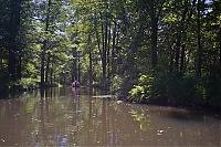 Spreewald_26_ji.jpg