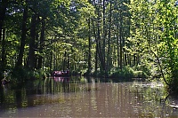 Spreewald_28_ji.jpg