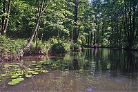 Spreewald_30_ji.jpg