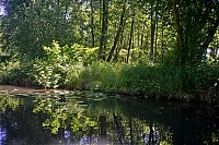 Spreewald_31_ji.jpg