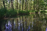 Dateiname=Spreewald_32_ji.jpg
Dateigröße=1046KB
Abmessungen: 1600x1068
hinzugefügt am: 28. Dezember 2020 Spreewald_32_ji.jpg