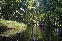 Spreewald_33_ji.jpg