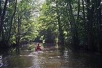 Spreewald_35_ji.jpg