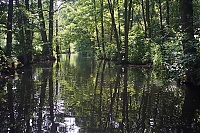 Spreewald_36_ji.jpg