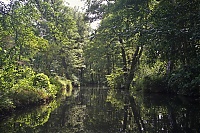 Spreewald_38_ji.jpg