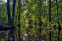 Spreewald_39_ji.jpg