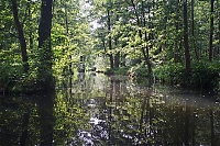 Spreewald_40_ji.jpg