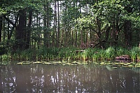 Spreewald_48_ji.jpg