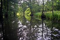 Spreewald_51_ji.jpg