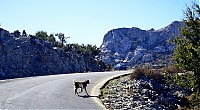 2917_10_Kreta_012_ji.jpg