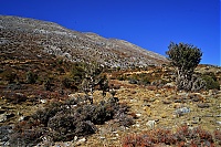 2917_10_Kreta_020_ji.jpg