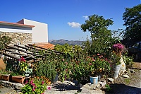 Dateiname=2917_10_Kreta_037_ji.jpg
Dateigröße=902KB
Abmessungen: 1600x1068
hinzugefügt am: 12. März 2021 2917_10_Kreta_037_ji.jpg