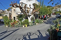 2917_10_Kreta_041_ji.jpg