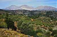 2917_10_Kreta_077_ji.jpg