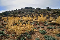 2917_10_Kreta_080_ji.jpg