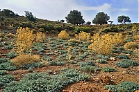 2917_10_Kreta_082_ji.jpg