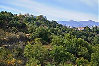 2917_10_Kreta_084_ji.jpg