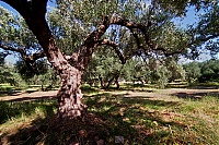 2917_10_Kreta_094_ji.jpg