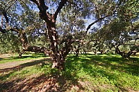 2917_10_Kreta_096_ji.jpg