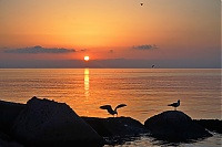 Dateiname=Lipari_072_ji.jpg
Dateigröße=951KB
Abmessungen: 1518x1013
hinzugefügt am: 25. Januar 2020 Lipari_072_ji.jpg