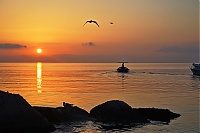 Dateiname=Lipari_076_ji.jpg
Dateigröße=942KB
Abmessungen: 1518x1013
hinzugefügt am: 25. Januar 2020 Lipari_076_ji.jpg