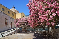 Dateiname=Lipari_104_ji.jpg
Dateigröße=1809KB
Abmessungen: 1518x1012
hinzugefügt am: 25. Januar 2020 Lipari_104_ji.jpg