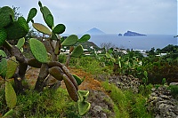 Panarea_043_ji.jpg