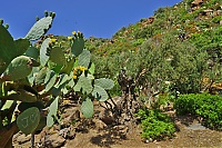 Panarea_092_ji.jpg