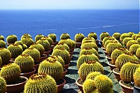 Dateiname=Panarea_100_ji.jpg
Dateigröße=1884KB
Abmessungen: 1518x1013
hinzugefügt am: 25. Januar 2020 Panarea_100_ji.jpg