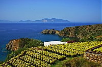 Panarea_101_ji.jpg