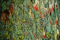 Dateiname=Noerdlingen_20_ji.jpg
Dateigröße=1240KB
Abmessungen: 1536x1025
hinzugefügt am: 25. Januar 2020 Noerdlingen_20_ji.jpg