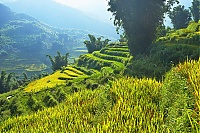 Dateiname=Sapa_2018_008_ji.jpg
Dateigröße=1957KB
Abmessungen: 1518x1013
hinzugefügt am: 25. Januar 2020 Sapa_2018_008_ji.jpg