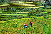 Dateiname=Sapa_2018_018_ji.jpg
Dateigröße=2255KB
Abmessungen: 1518x1013
hinzugefügt am: 25. Januar 2020 Sapa_2018_018_ji.jpg
