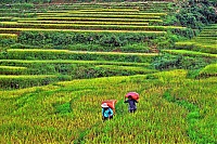 Sapa_2018_018_ji.jpg