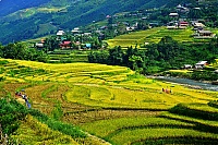 Dateiname=Sapa_2018_033_ji.jpg
Dateigröße=2093KB
Abmessungen: 1518x1013
hinzugefügt am: 25. Januar 2020 Sapa_2018_033_ji.jpg