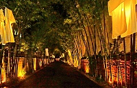 Dateiname=Chiangmai_2019_02_019_ji.jpg
Dateigröße=1035KB
Abmessungen: 1800x1169
hinzugefügt am: 24. Januar 2020 Chiangmai_2019_02_019_ji.jpg