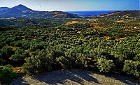 2019-Kreta_005_Myrtios.jpg