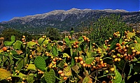 2019-Kreta_009_Sfakia.jpg