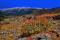 2019-Kreta_018_Sfakia.jpg