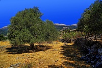Dateiname=2019-Kreta_020_Sfakia.jpg
Dateigröße=1317KB
Abmessungen: 1800x1201
hinzugefügt am: 15. September 2019 2019-Kreta_020_Sfakia.jpg