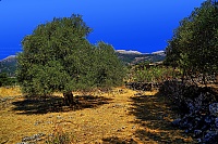 2019-Kreta_020_Sfakia.jpg