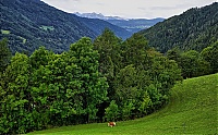 2019_Pustertal_138_ji.jpg