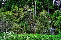 2019_Pustertal_139_ji.jpg