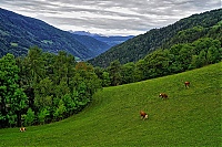 Dateiname=2019_Pustertal_166_ji.jpg
Dateigröße=1280KB
Abmessungen: 1800x1201
hinzugefügt am: 25. Oktober 2019 2019_Pustertal_166_ji.jpg