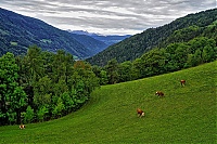 2019_Pustertal_166_ji.jpg