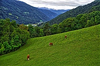 2019_Pustertal_167_ji.jpg