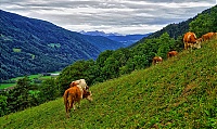 Dateiname=2019_Pustertal_169_ji.jpg
Dateigröße=1177KB
Abmessungen: 1800x1078
hinzugefügt am: 25. Oktober 2019 2019_Pustertal_169_ji.jpg