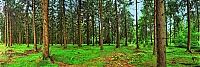 Dateiname=Friedrichroda_042-049_ji.jpg
Dateigröße=744KB
Abmessungen: 1600x541
hinzugefügt am: 19. Juli 2020 Friedrichroda_042-049_ji.jpg