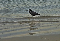 2021_railay_048_ji.jpg